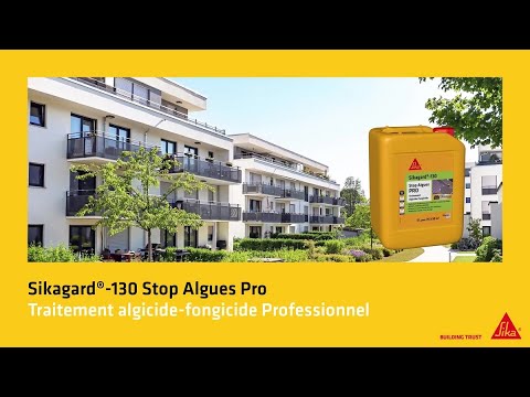 Sika stop Anti-algues sikagard bidon 20l