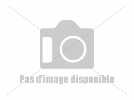 Cable demarrage 911b.016 Facom